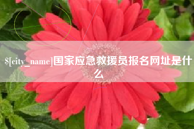 安吉国家应急救援员报名网址是什么