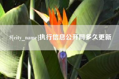 安吉执行信息公开网多久更新