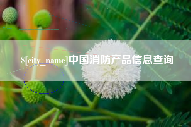 安吉中国消防产品信息查询