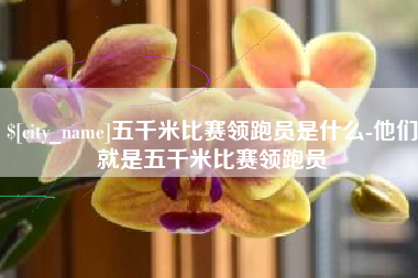 安吉五千米比赛领跑员是什么-他们就是五千米比赛领跑员