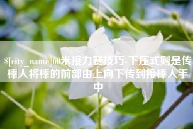 安吉60米接力赛技巧-下压式则是传棒人将棒的前部由上向下传到接棒人手中