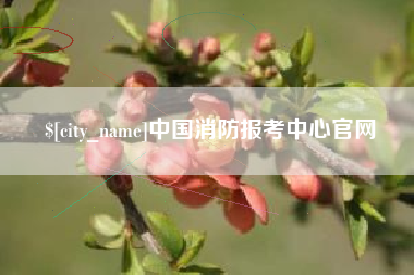 安吉中国消防报考中心官网
