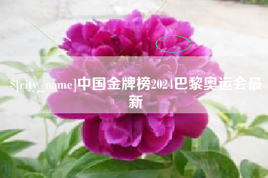 安吉中国金牌榜2024巴黎奥运会最新