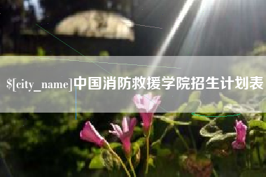 安吉中国消防救援学院招生计划表