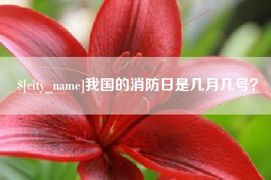安吉我国的消防日是几月几号？