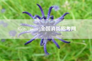 安吉全国消防招考网