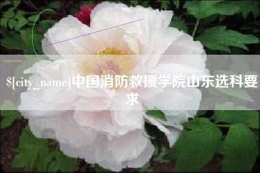 安吉中国消防救援学院山东选科要求