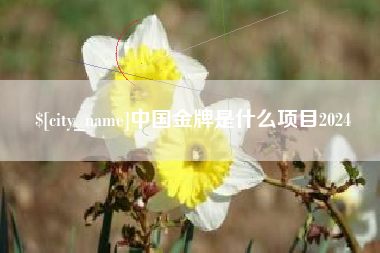 安吉中国金牌是什么项目2024