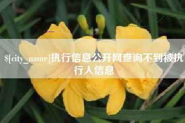 安吉执行信息公开网查询不到被执行人信息