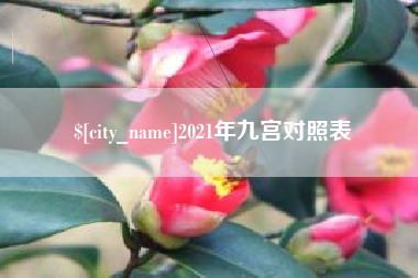 安吉2021年九宫对照表