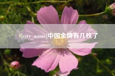 安吉中国金牌有几枚了