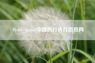 安吉中国执行执行信息网