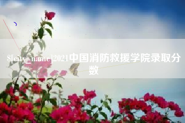安吉2021中国消防救援学院录取分数