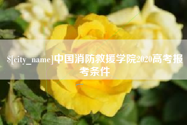 安吉中国消防救援学院2020高考报考条件
