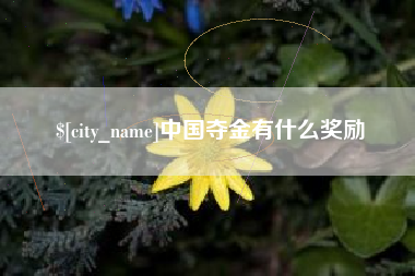 安吉中国夺金有什么奖励