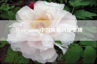 安吉中国队第八块金牌