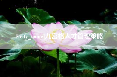 安吉九宫格人才管理策略