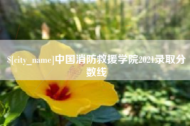 安吉中国消防救援学院2021录取分数线