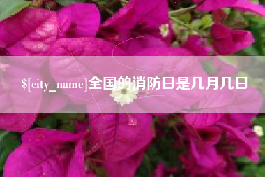 安吉全国的消防日是几月几日