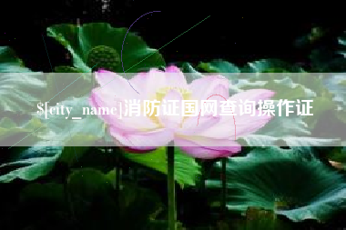 安吉消防证国网查询操作证