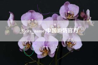 安吉中国消防官方