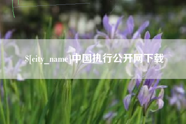 安吉中国执行公开网下载