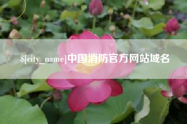 安吉中国消防官方网站域名
