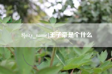 安吉王子豪是个什么