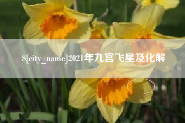 安吉2021年九宫飞星及化解