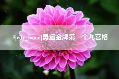 安吉奥运金牌第二个九宫格