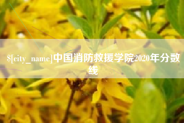 安吉中国消防救援学院2020年分数线