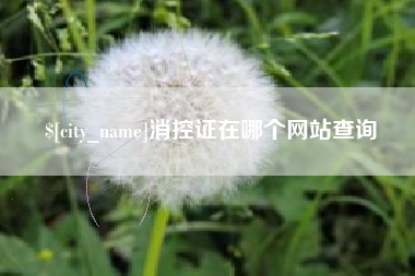 安吉消控证在哪个网站查询