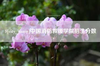安吉中国消防救援学院招生分数