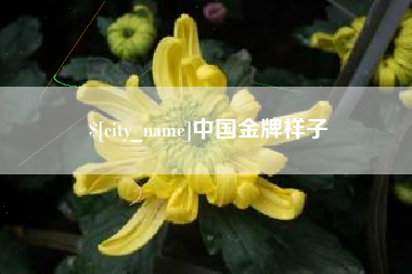 安吉中国金牌样子