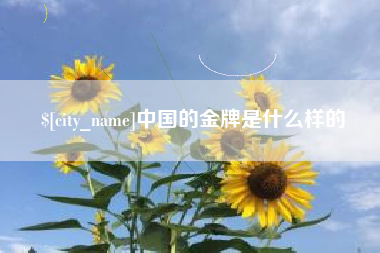 安吉中国的金牌是什么样的