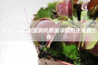 安吉中国消防救援学院招生章程公布!