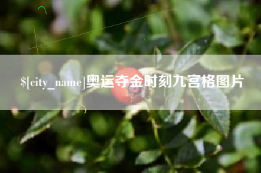 安吉奥运夺金时刻九宫格图片