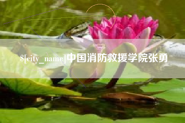 安吉中国消防救援学院张勇