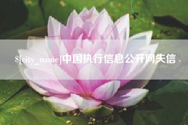 安吉中国执行信息公开网失信