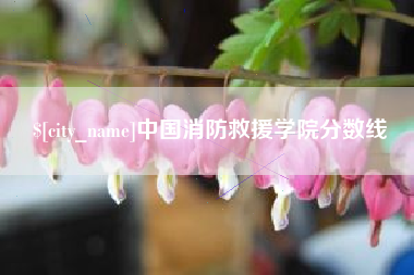 安吉中国消防救援学院分数线