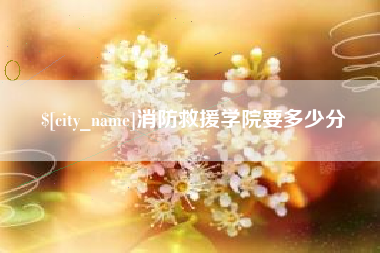安吉消防救援学院要多少分