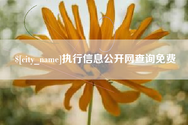 安吉执行信息公开网查询免费