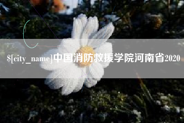 安吉中国消防救援学院河南省2020